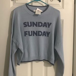 NWT cropped sweater